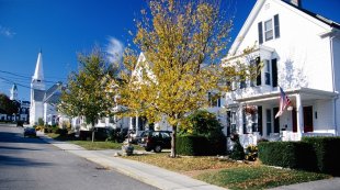 Cape Cod neighbourhood street